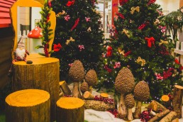 villaggio-di-babbo-natale-allestimeto-alberi-di-natale